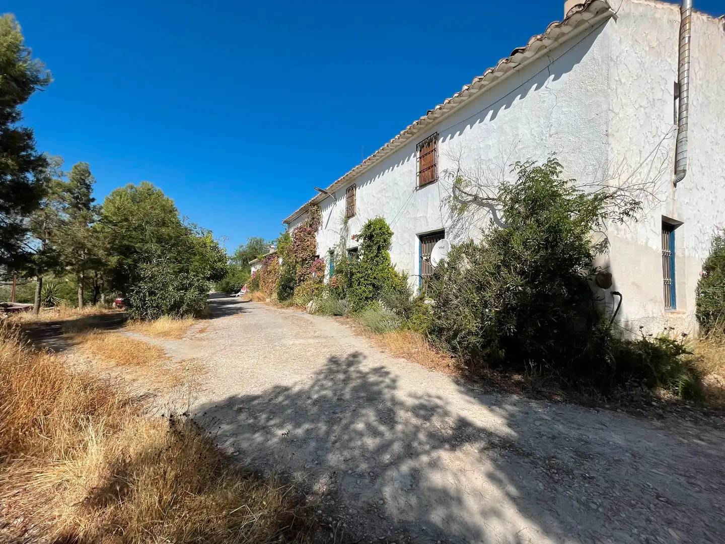 Haus mit Terrasse zum Verkauf in Cehegín, imagen 3