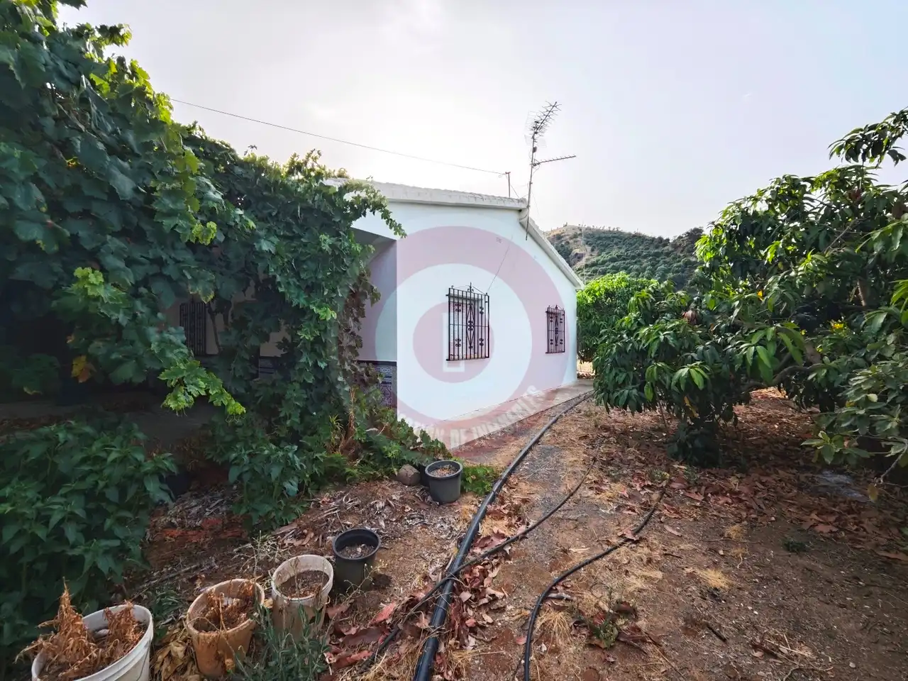 Finca rústica en venda en Comares amb Terrassa