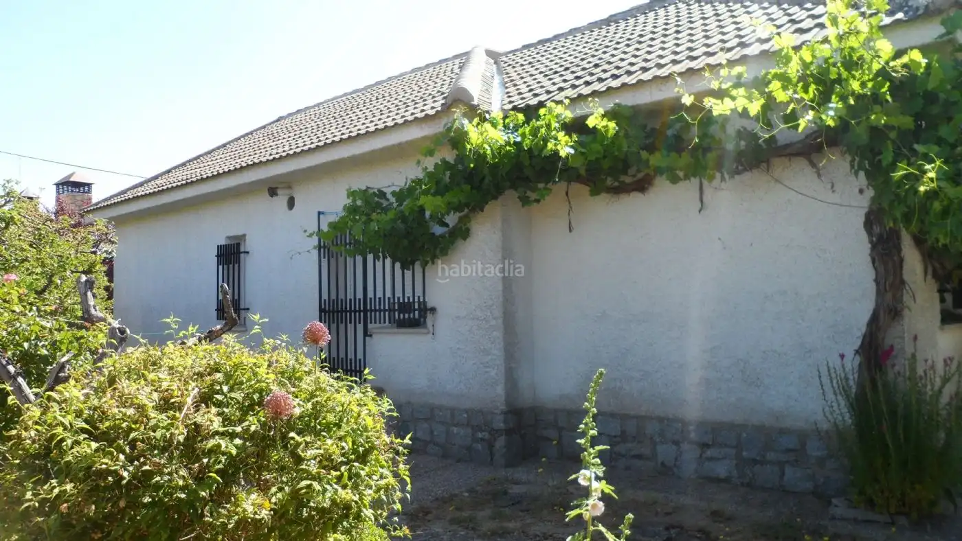 Chalet con jardín en venta en Calle Matadero 5, imagen 21