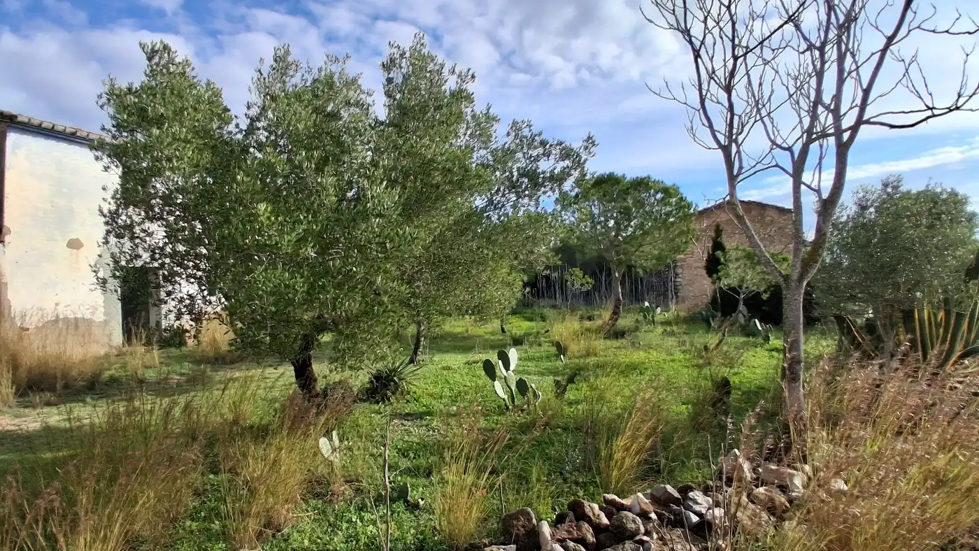 Finca rústica en venta en L'Ampolla