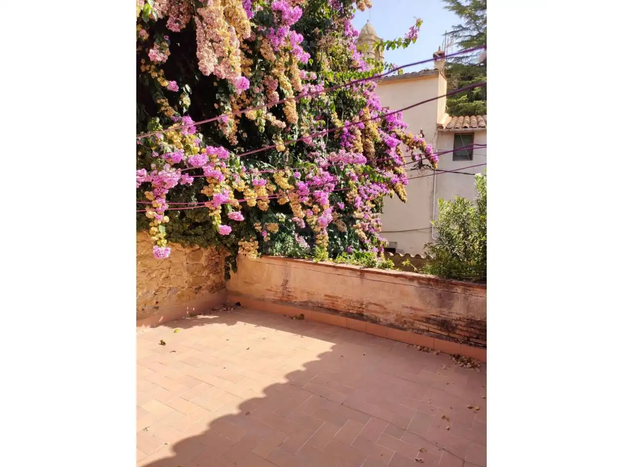 Casa rustica con giardino in vendita a Calle Racó, imagen 28