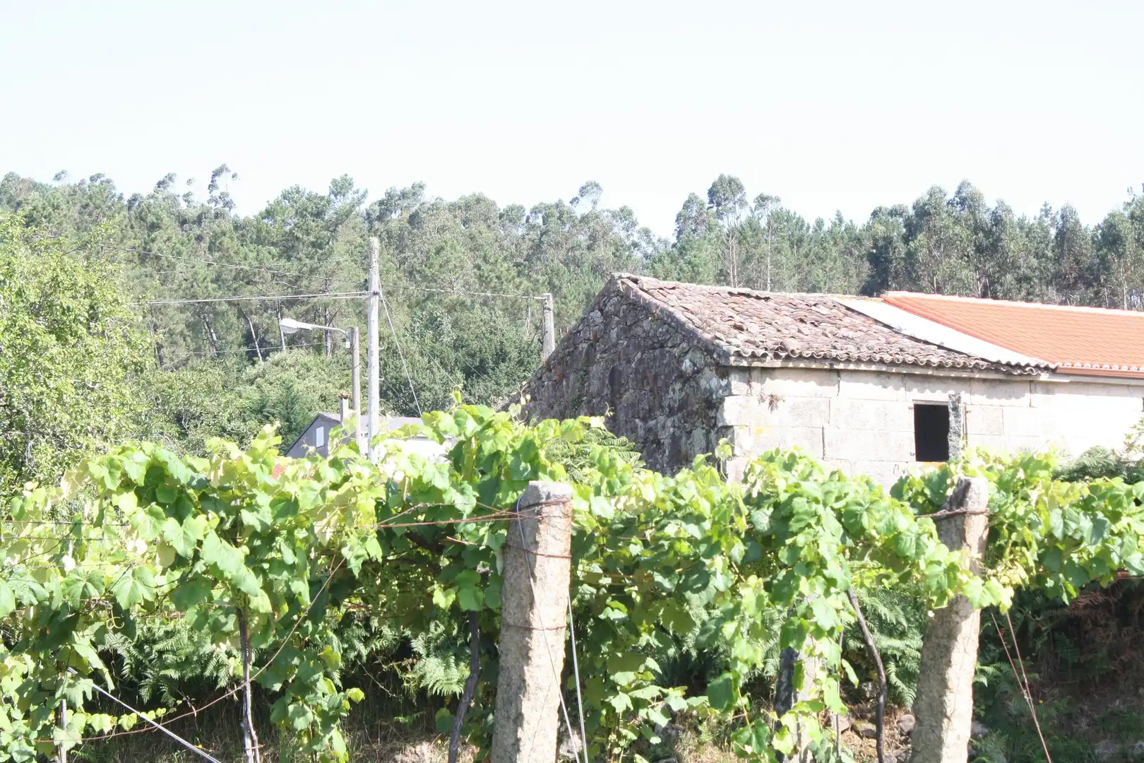 Vista exterior de Casa o chalet en venta en Dodro