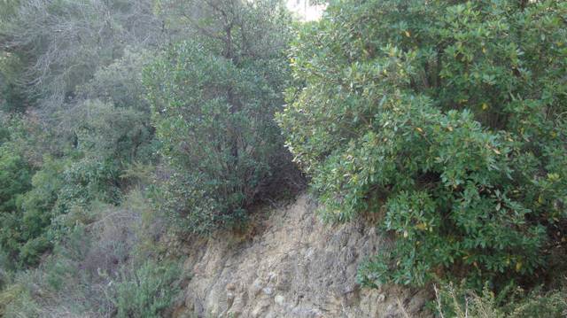 Terreno residencial en Venta en Carrer Turó de Puigcastell, 59 en Sant Cebrià de Vallalta