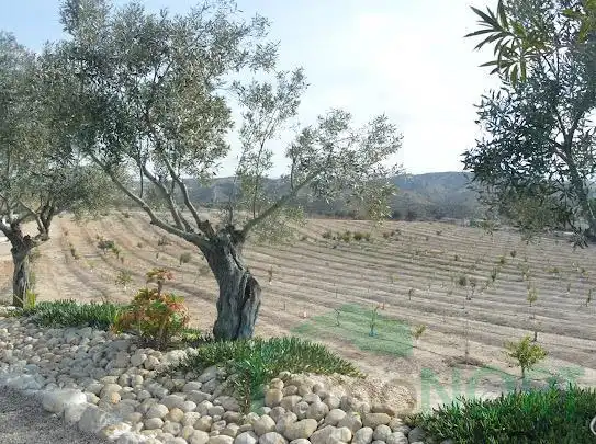 Country house zum Verkauf in Las Torres de Cotillas