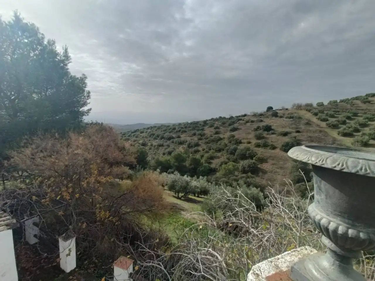 Maison avec jardin à vendre à Calle Polígono 49 16, imagen 37