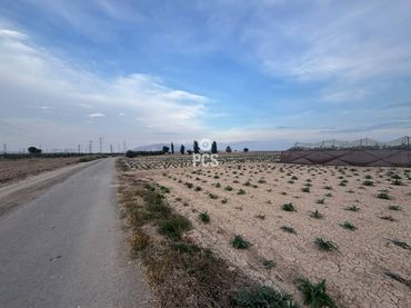 Terreno rustico in vendita a Calle Zona Ñorica Turvinto S/N