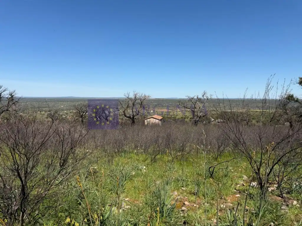 Finca rústica en venta en Aliseda con Terraza