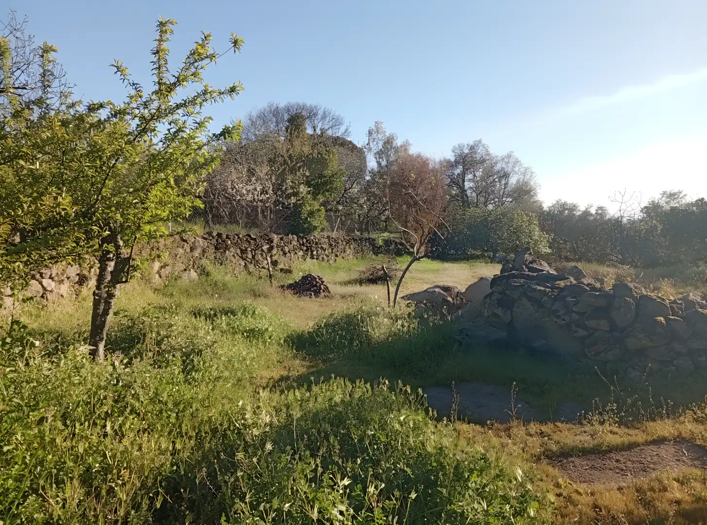Terreno en venta en Valverde de la Vera