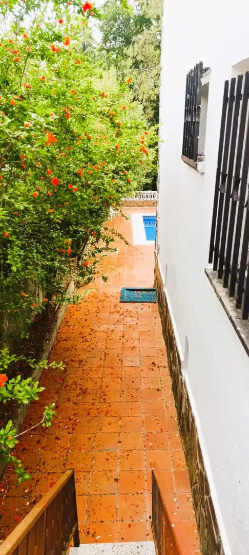 Vista exterior de Casa o xalet en venda en Lliçà d'Amunt amb Aire condicionat, Jardí privat i Terrassa