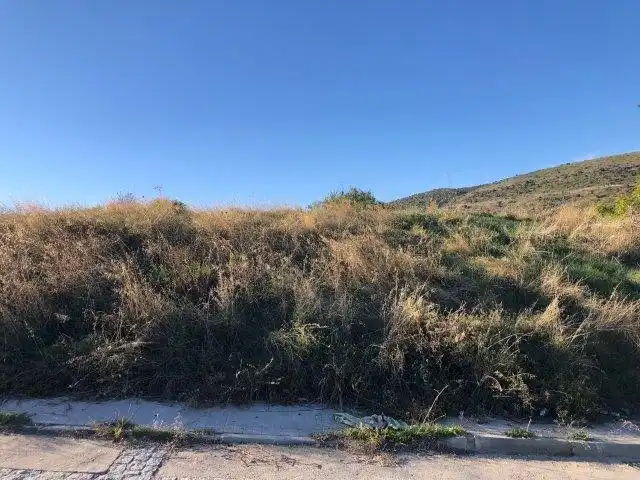 Terreny rústic en venda a C/ Estrella, imagen 10