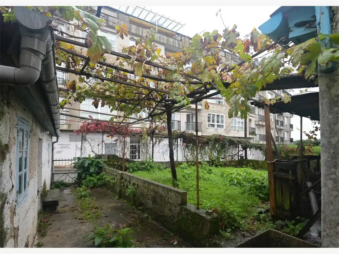 Jardí de Finca rústica en venda en O Carballiño  
