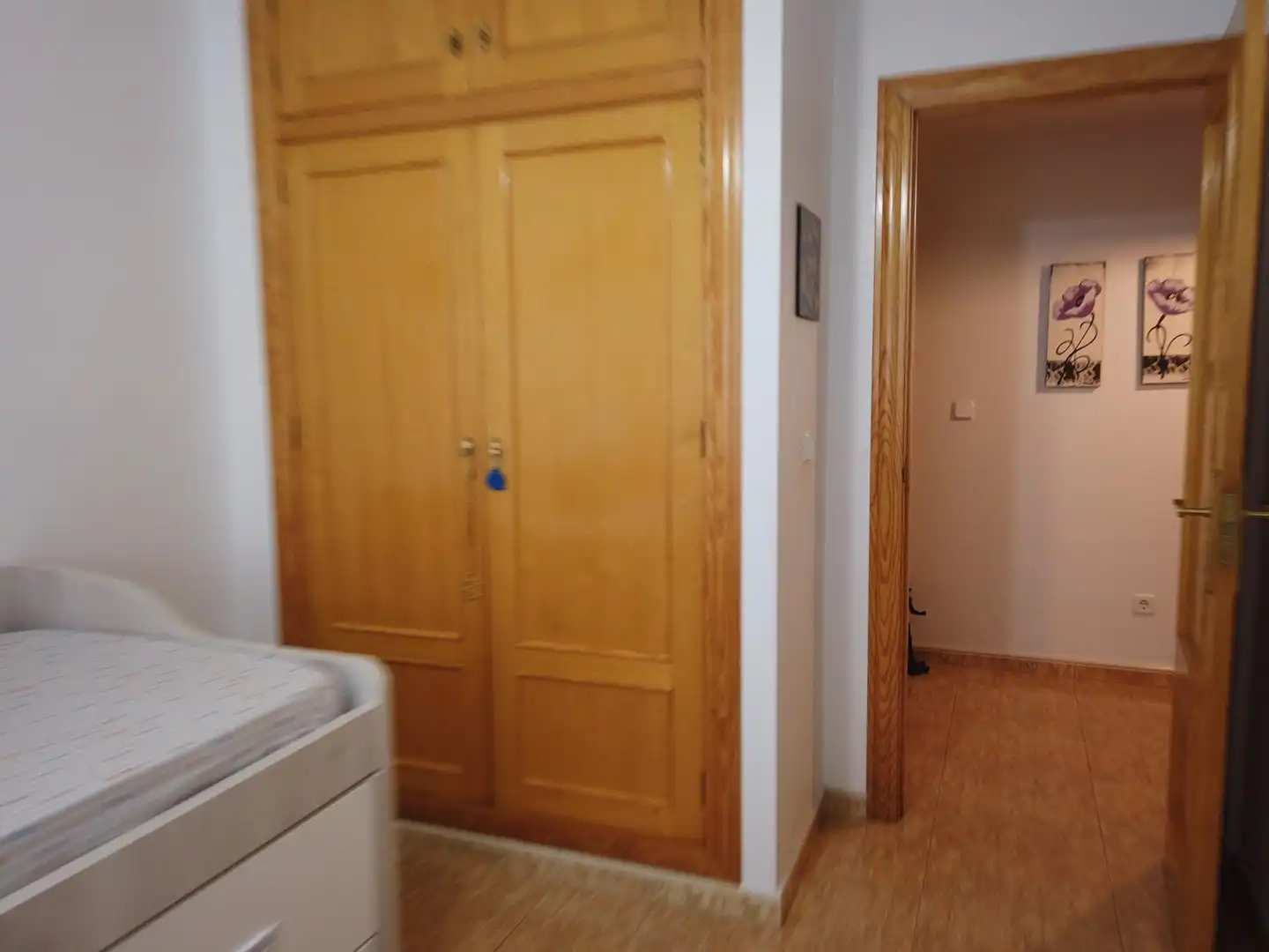 Casa o chalet en venta en San Pedro del Pinatar con Aire acondicionado, Terraza y Trastero