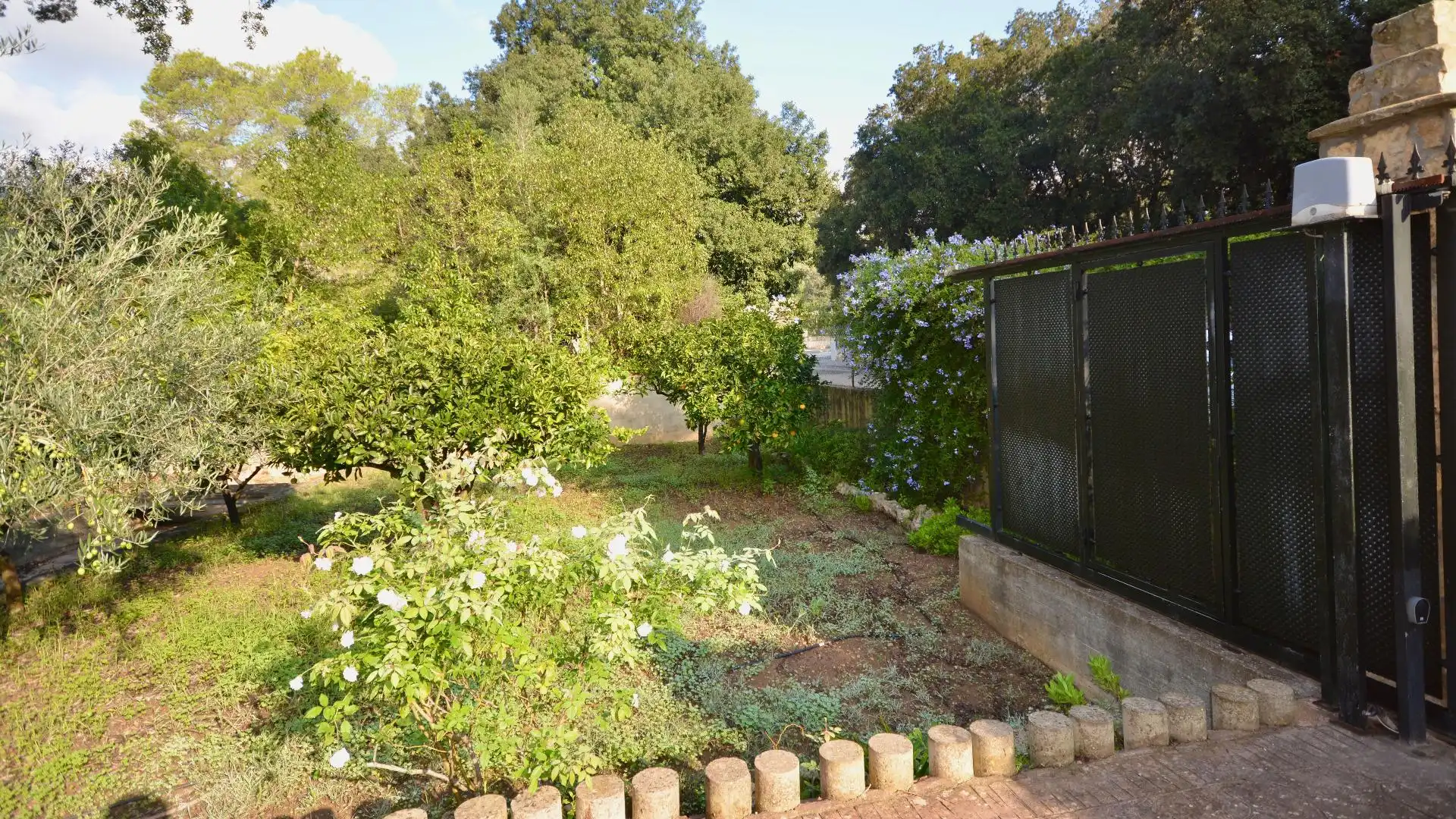 Jardí de Finca rústica en venda en Sa Pobla amb Jardí privat, Terrassa i Piscina comunitària