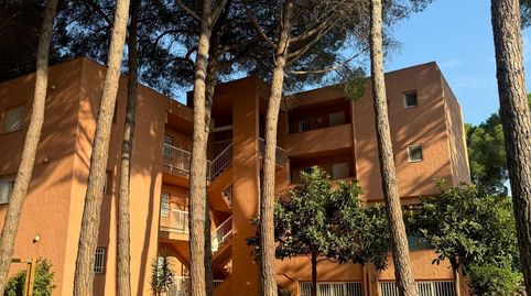Foto 2 de Apartament en venda a Platja de Pals, Pals