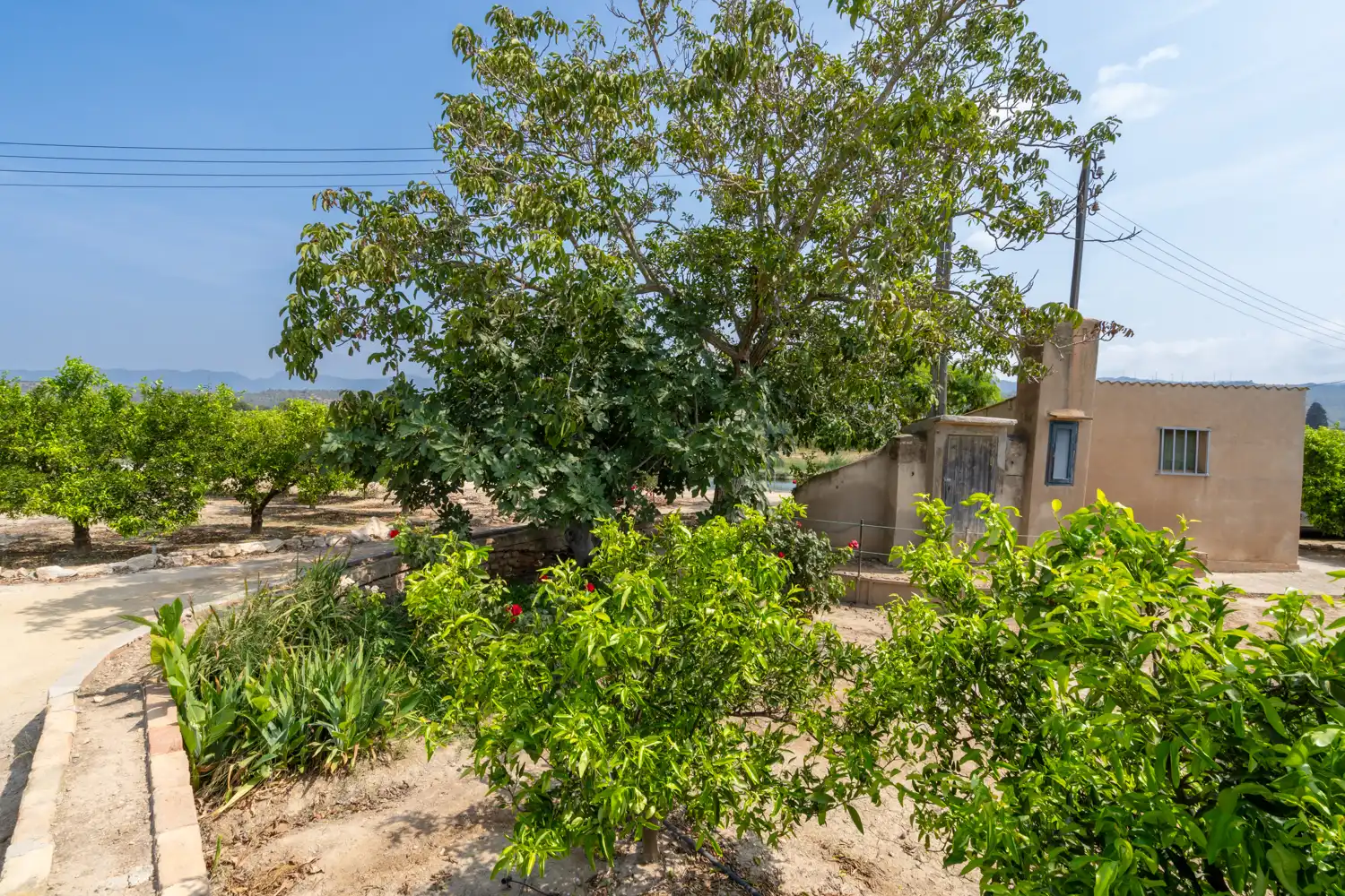 Terrain rustique à vendre à Bítem, imagen 15