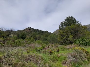 Terrenos y solares en venta en La Vall d'Uixó