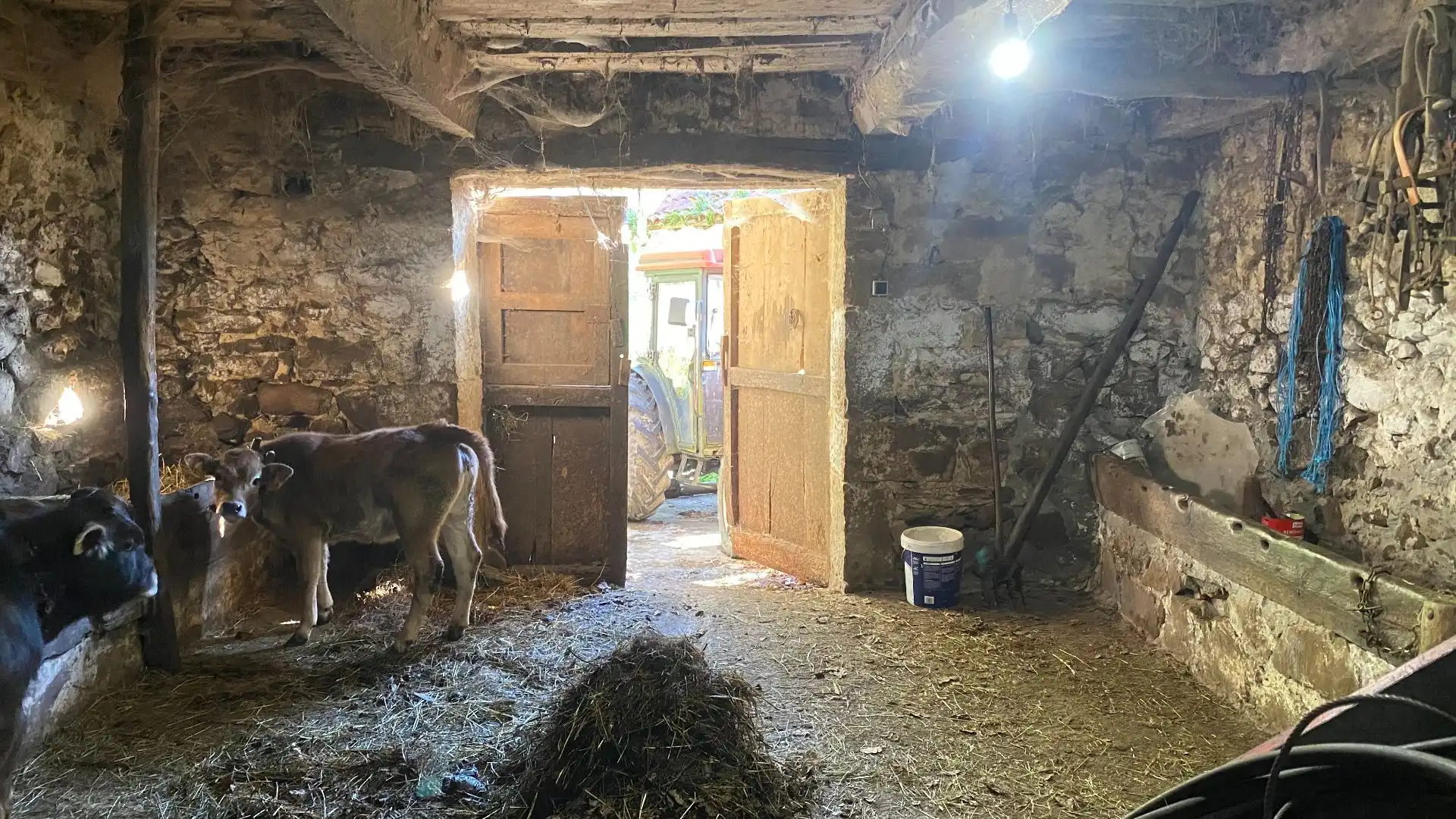 Casa o chalet en venta en Cangas de Onís