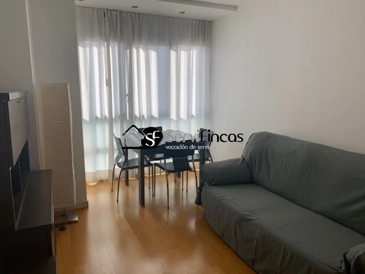 Living room of Attic for rent in Madrid  with Air Conditioner, Heating and Private garden