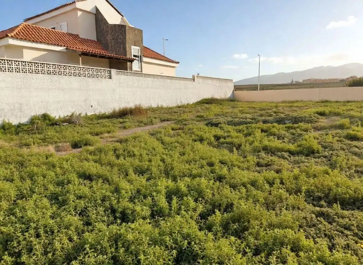 Terreny residencial en venda a Calle tedera 9999, imagen 5