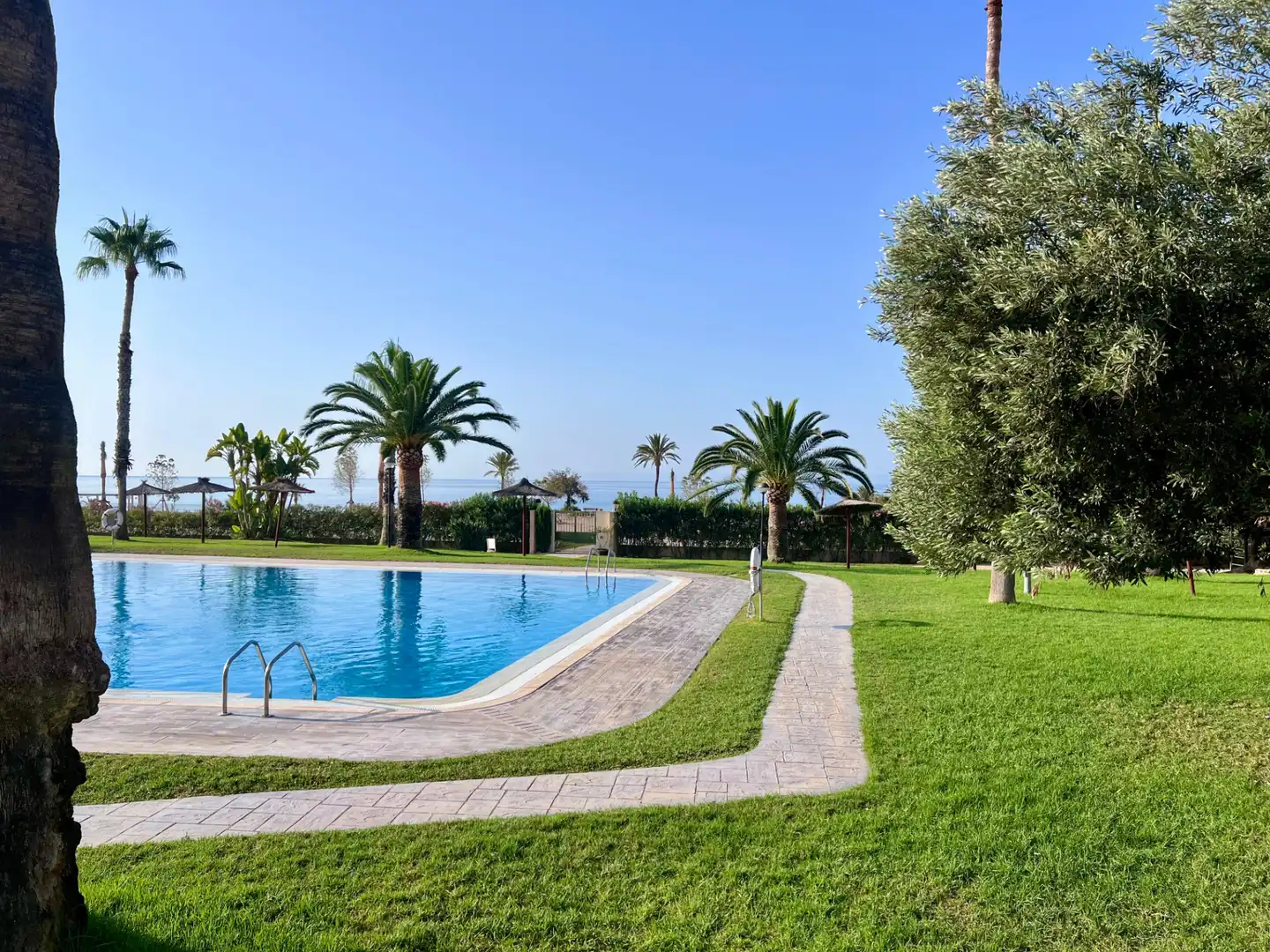 Swimming pool of Flat for rent in Villajoyosa / La Vila Joiosa  with Air Conditioner, Private garden and Terrace