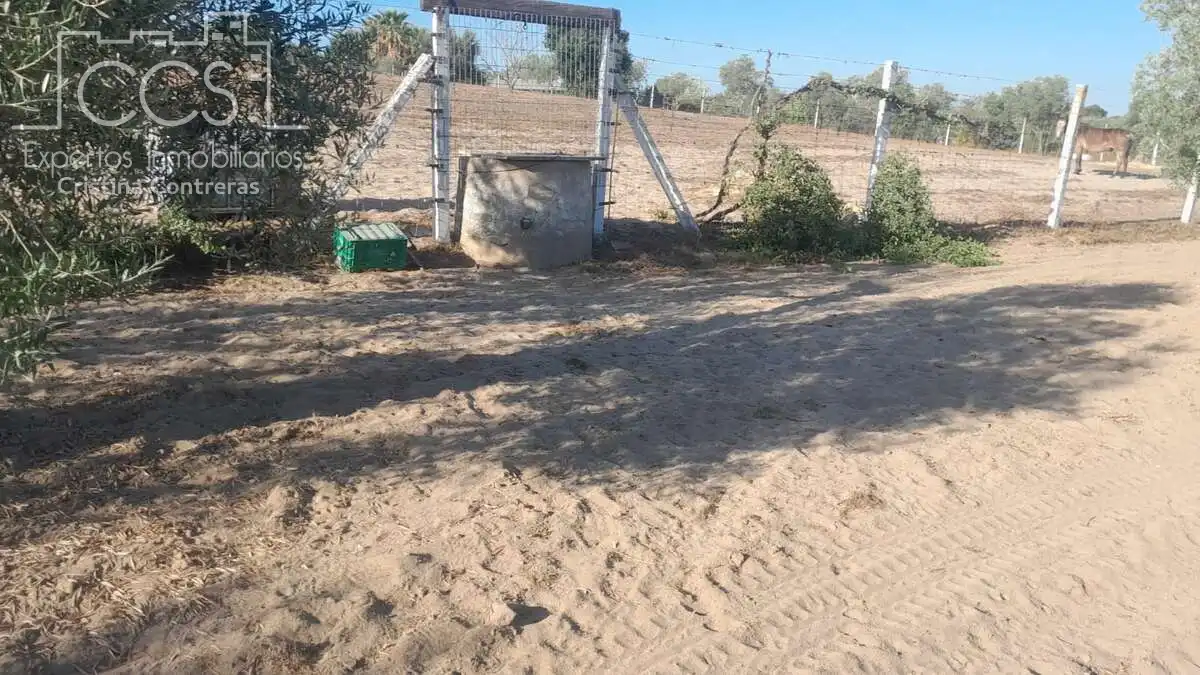 Terreni e lotti in vendita a Almonte ciudad, imagen 15