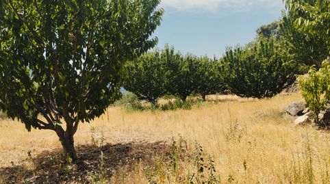 Foto 5 de Terreno en venta en N/a, -1, El Torno , Cáceres