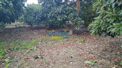 Foto 5 de Residencial en venda a Centro, Nerja