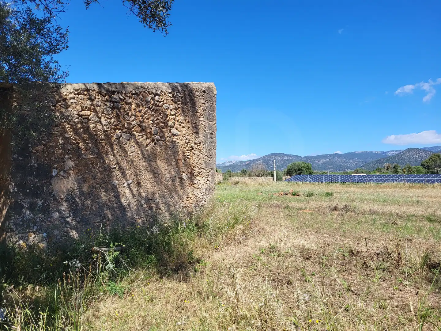 Terrain rustique à vendre à Polígono 2 Parcela 1, imagen 8