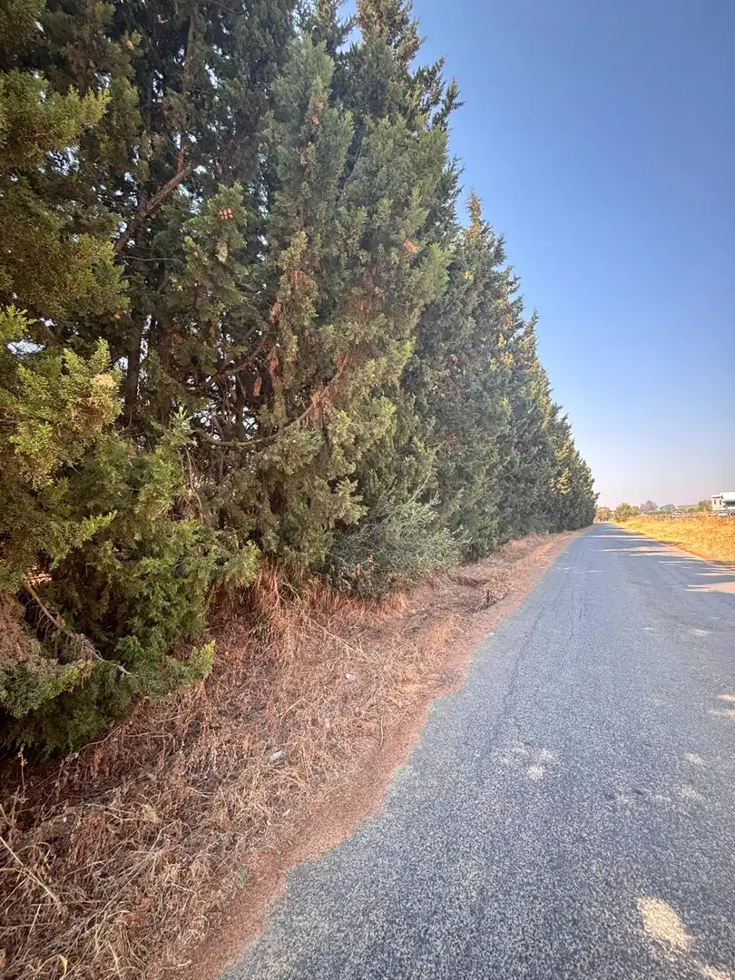 Finca rústica en venda en Huévar del Aljarafe amb Jardí privat, Traster i Piscina