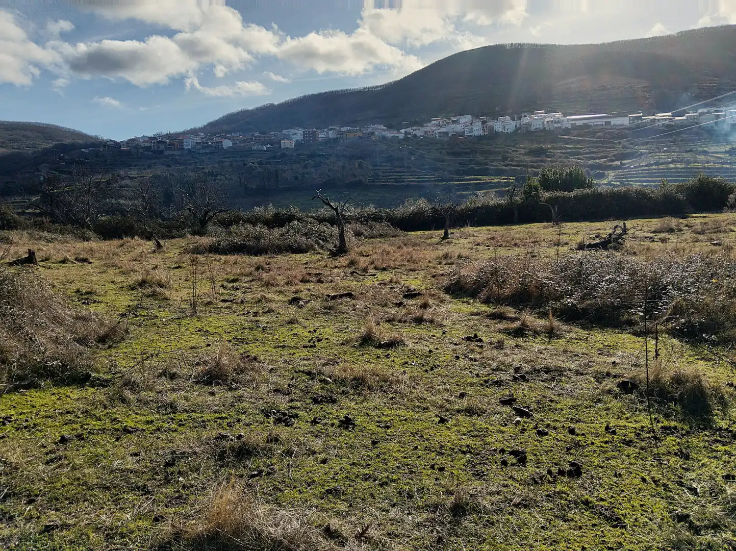 Terreno en venta en Casas del Castañar