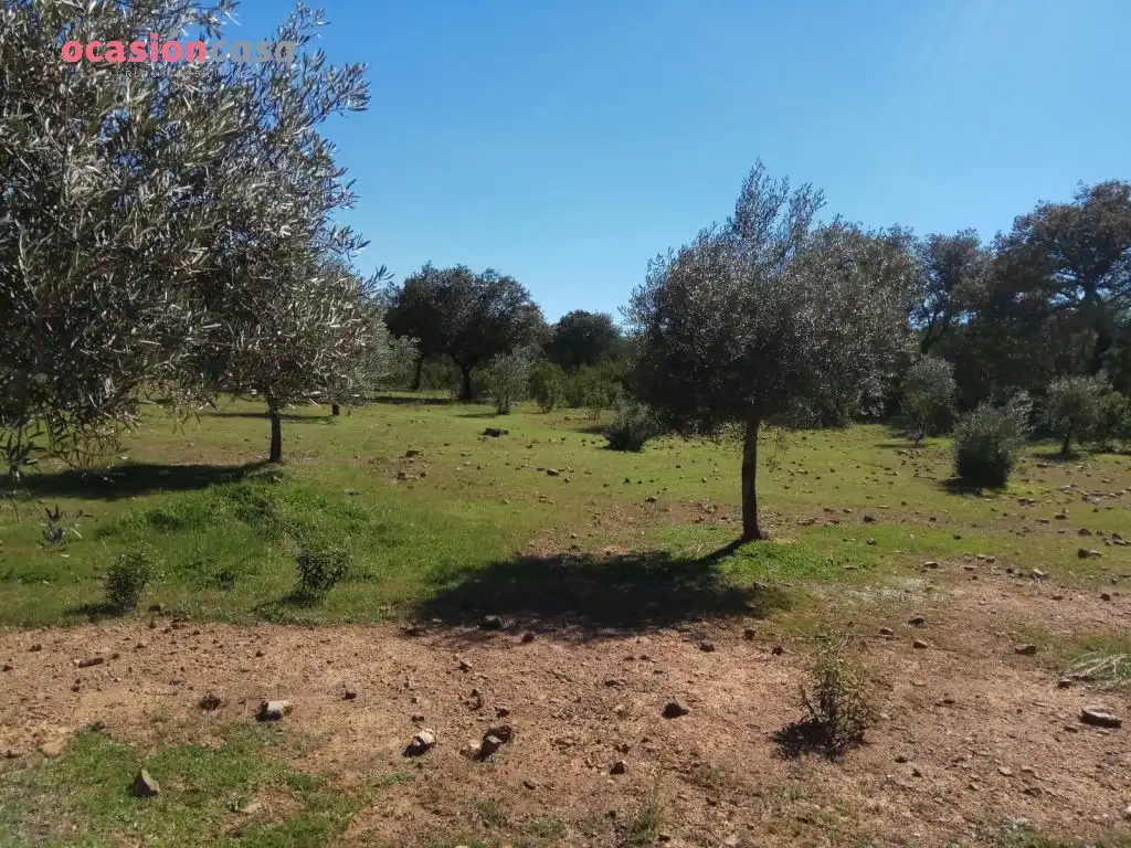 Villa mit Garten zum Verkauf in Pozoblanco, imagen 44