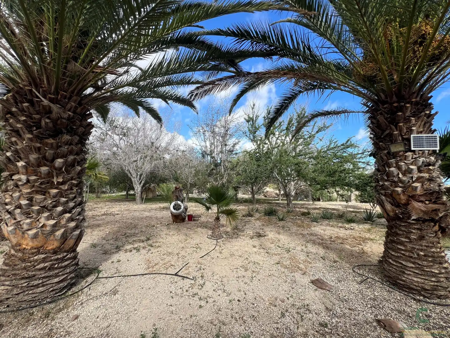 Finca rústica en venta en Granadilla de Abona