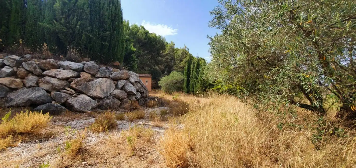 Terreni e lotti in vendita a Yunquera, imagen 11