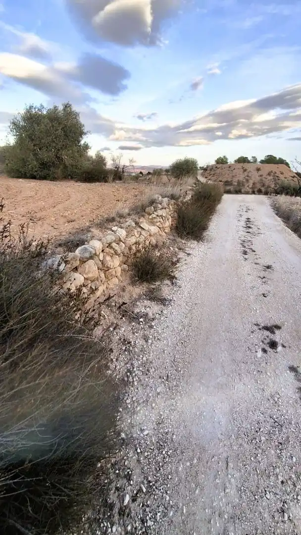 Terreni e lotti in vendita a Yecla, imagen 7
