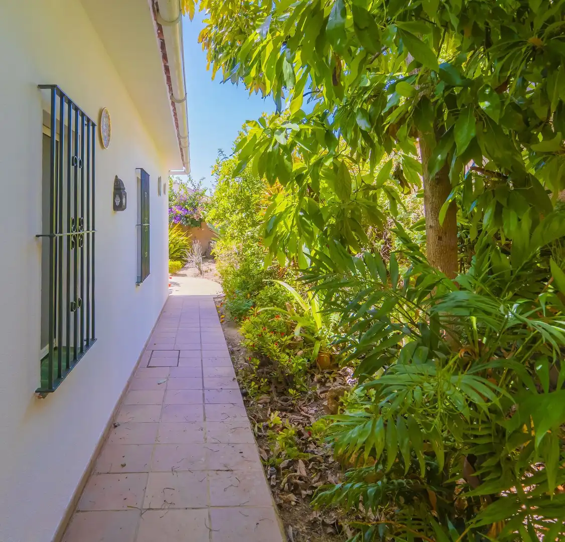 Chalet en venta en Carretera Nacional N-340, imagen 29