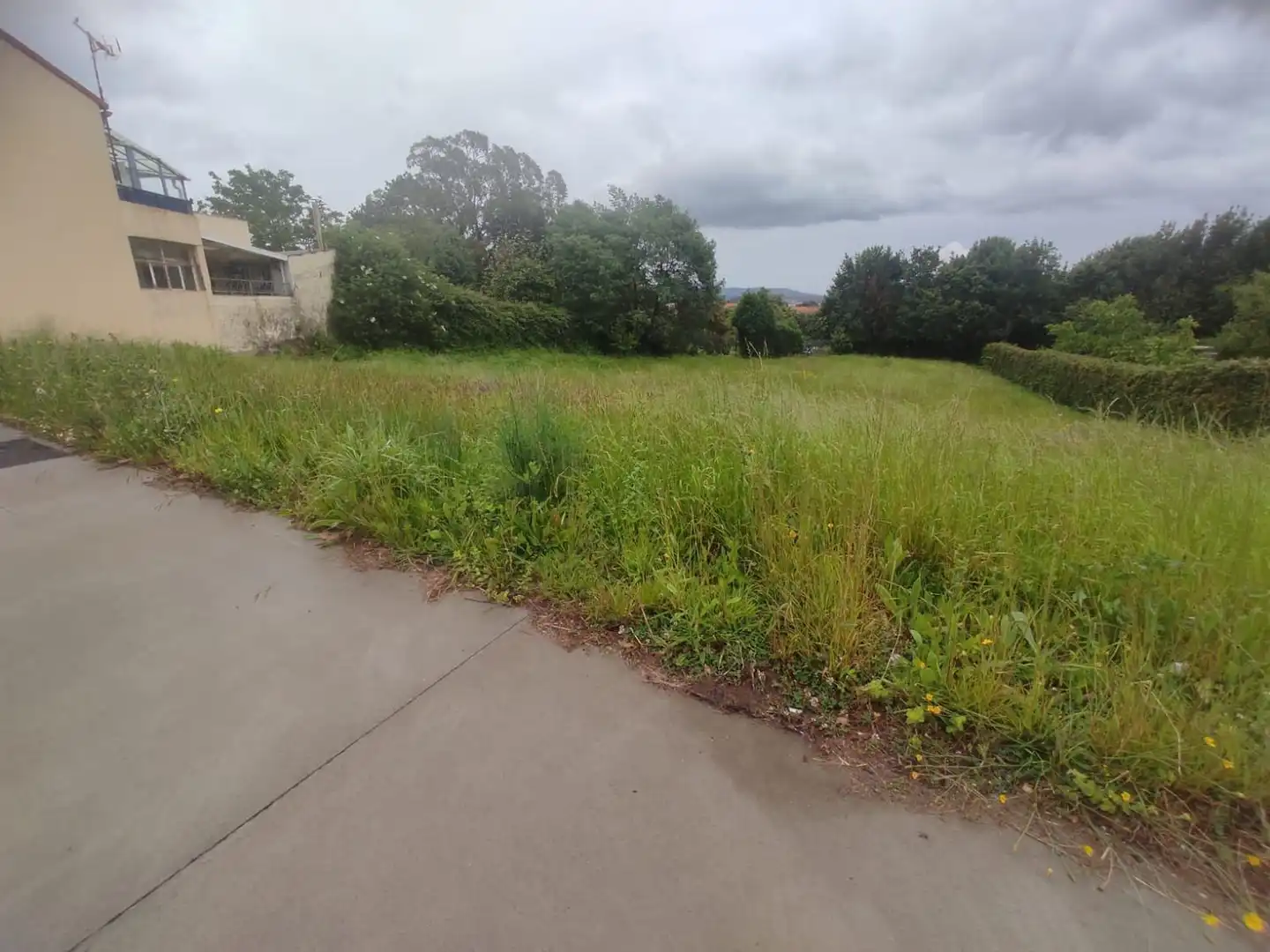 Terreno rústico en venta en Camino de San Pedro 195, imagen 4