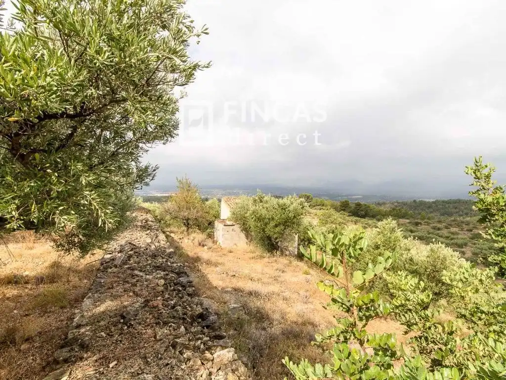 Country house zum Verkauf in Tortosa mit Möbliert