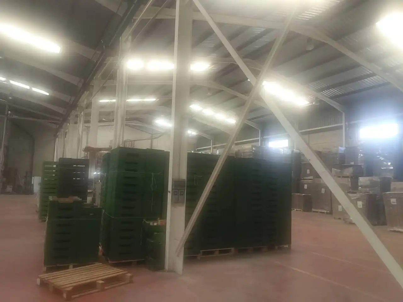 Nave industrial in vendita a Avenida Hort Mandarí 19, imagen 5