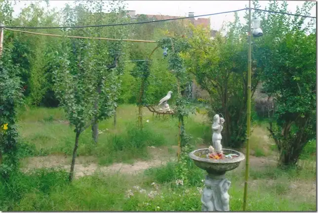 House with garden for sale in Can Moré - Santa Anna - Can Feliu de Merola, imagen 7