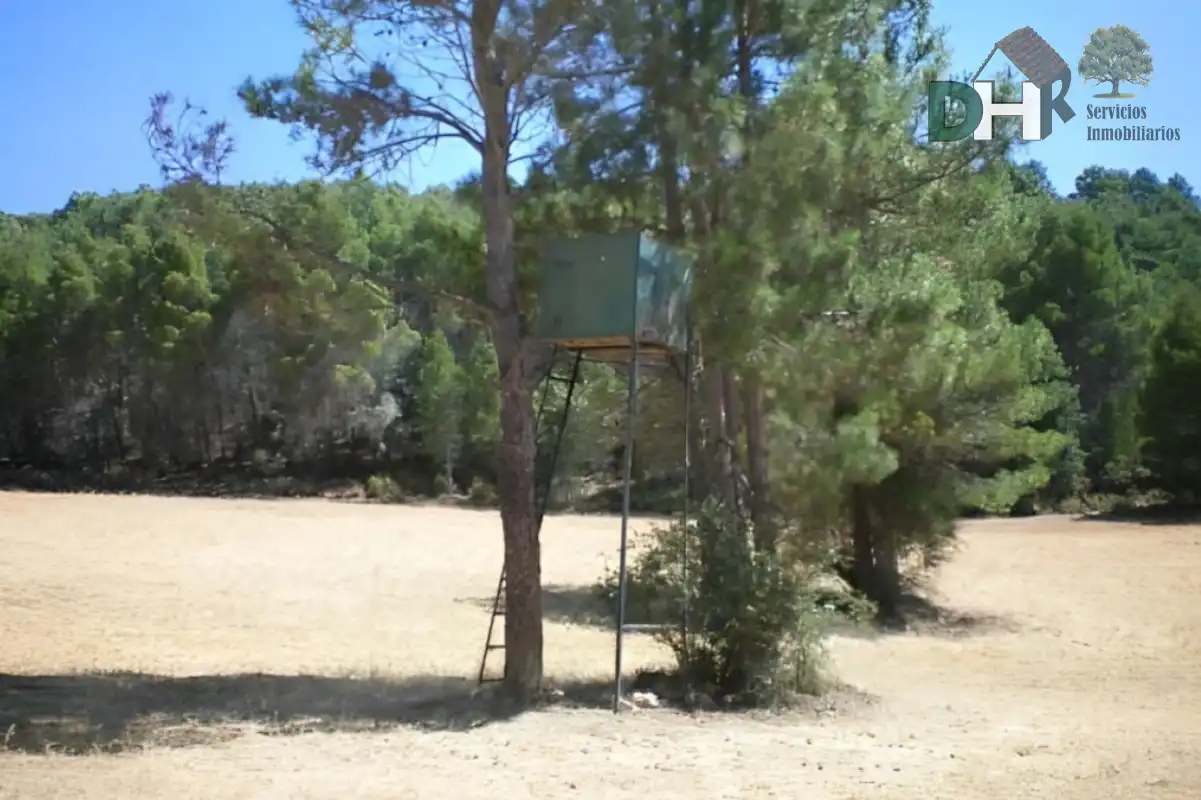 Terreni e lotti in vendita a San Fernando - Carretera de Valencia, imagen 10
