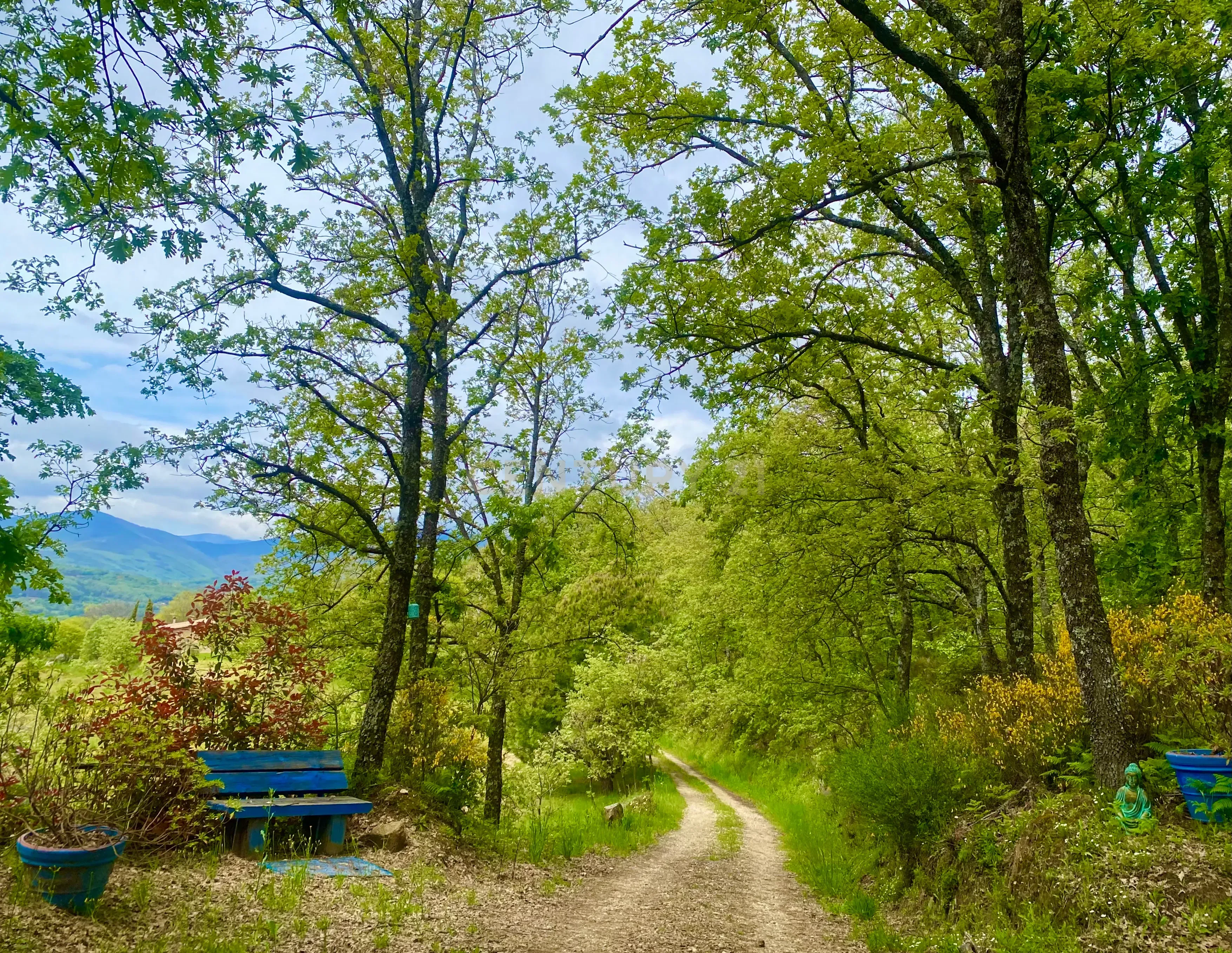 Vista exterior de Casa o xalet en venda en Jarandilla de la Vera amb Jardí privat