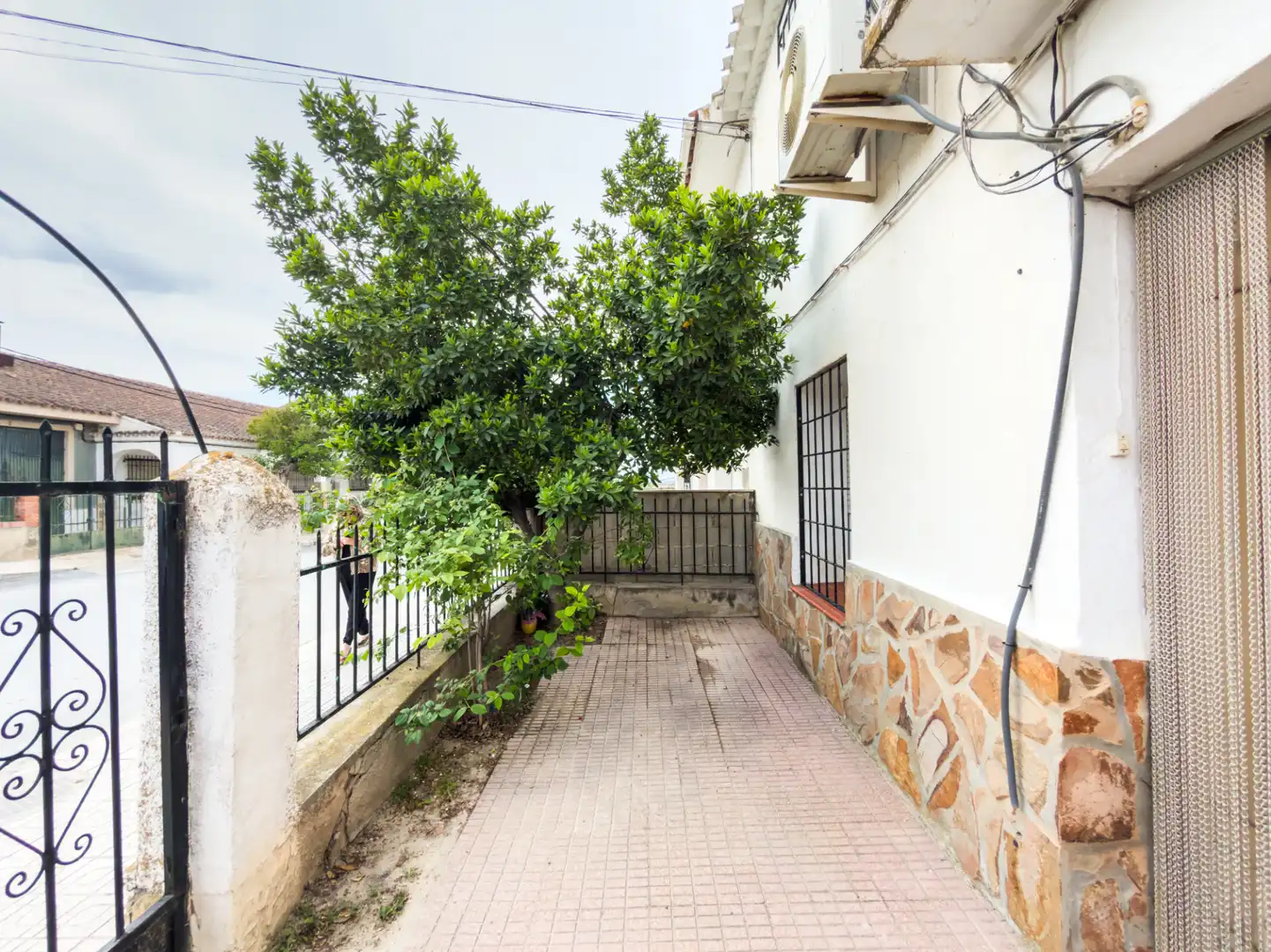 Vista exterior de Casa o xalet en venda en Cortes de Baza amb Jardí privat, Terrassa i Moblat