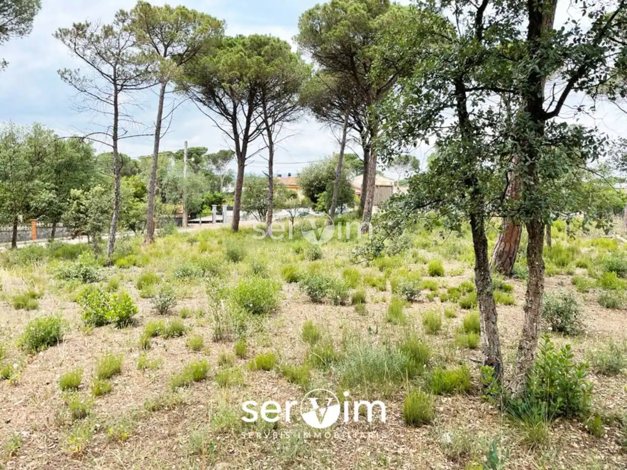 Terrain résidentiel à vendre à Avenida Malavella 206, imagen 14