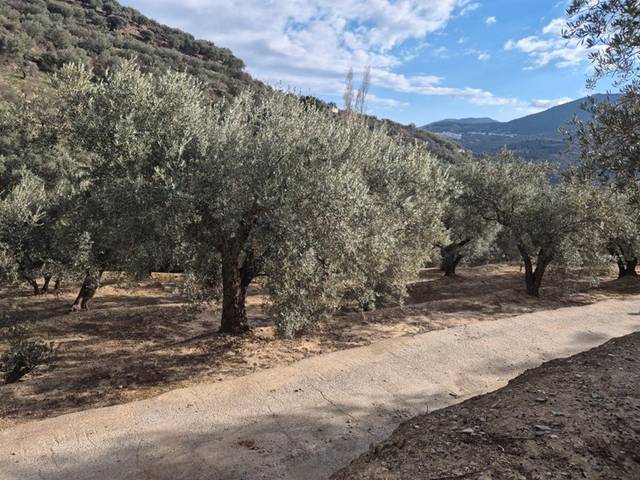 Terreno en Venta en Lecrín