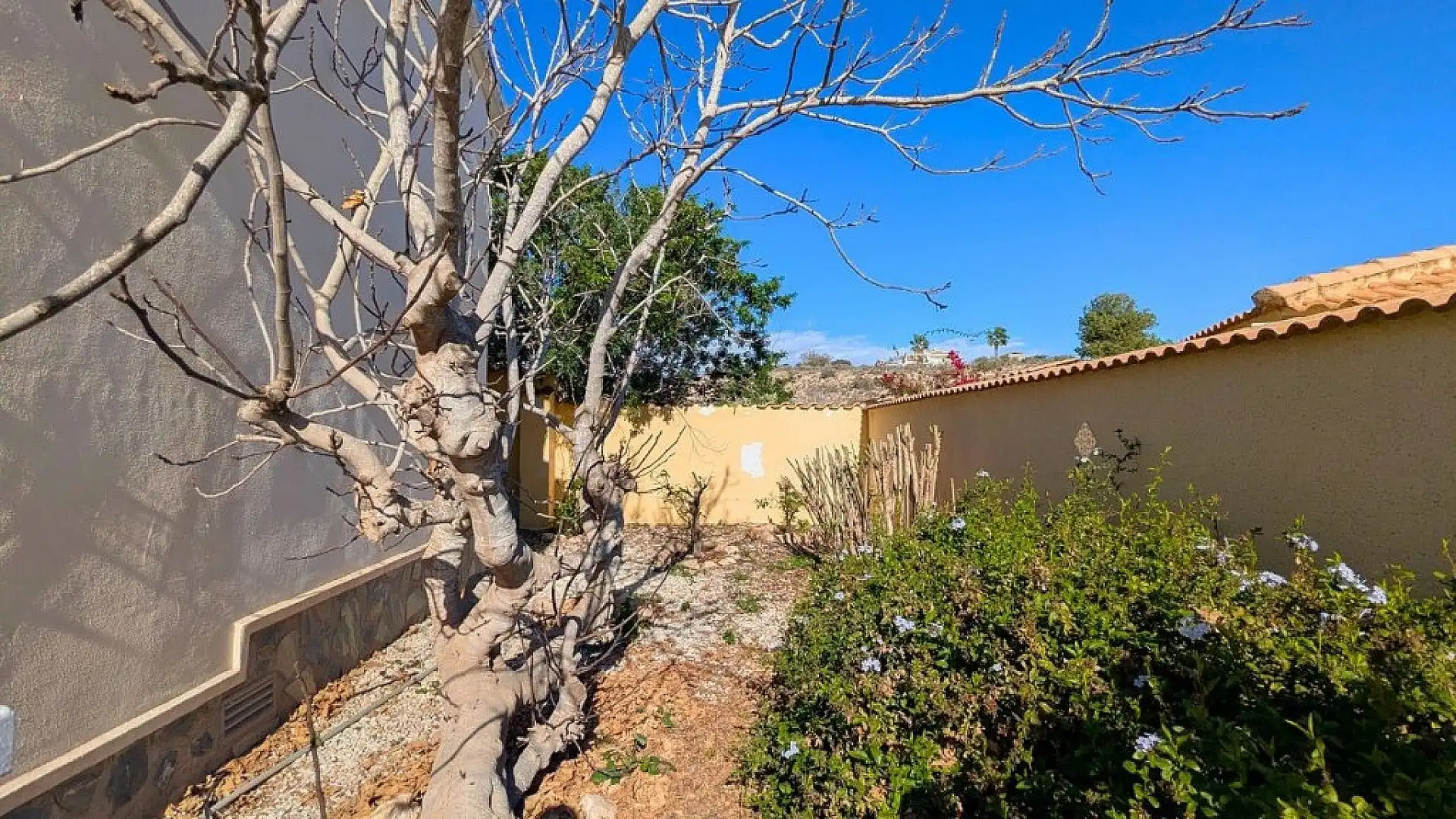 Detached house for sale in Ciudad Quesada, imagen 17