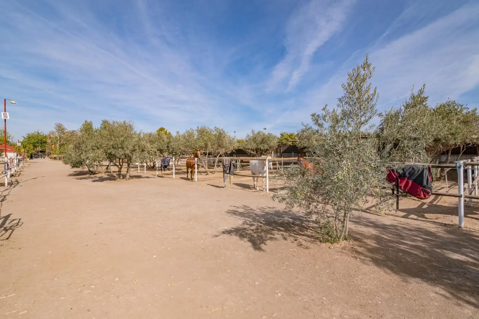 Vista exterior de Finca rústica en venta en La Zubia