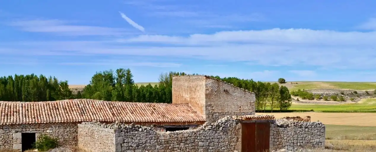 Vista exterior de Finca rústica en venta en Iglesiarrubia con Jardín privado
