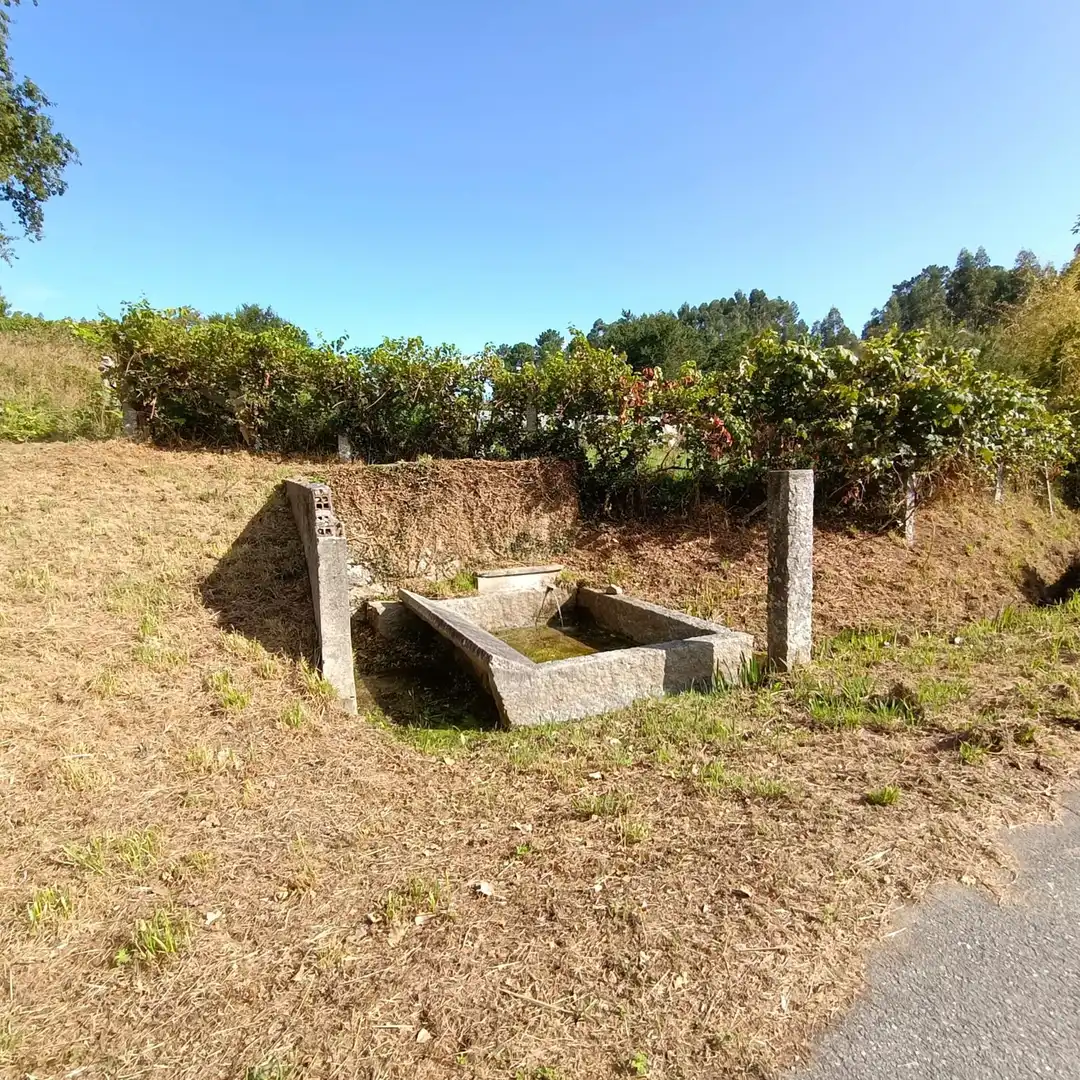 Garten von Residential zum Verkauf in Barro