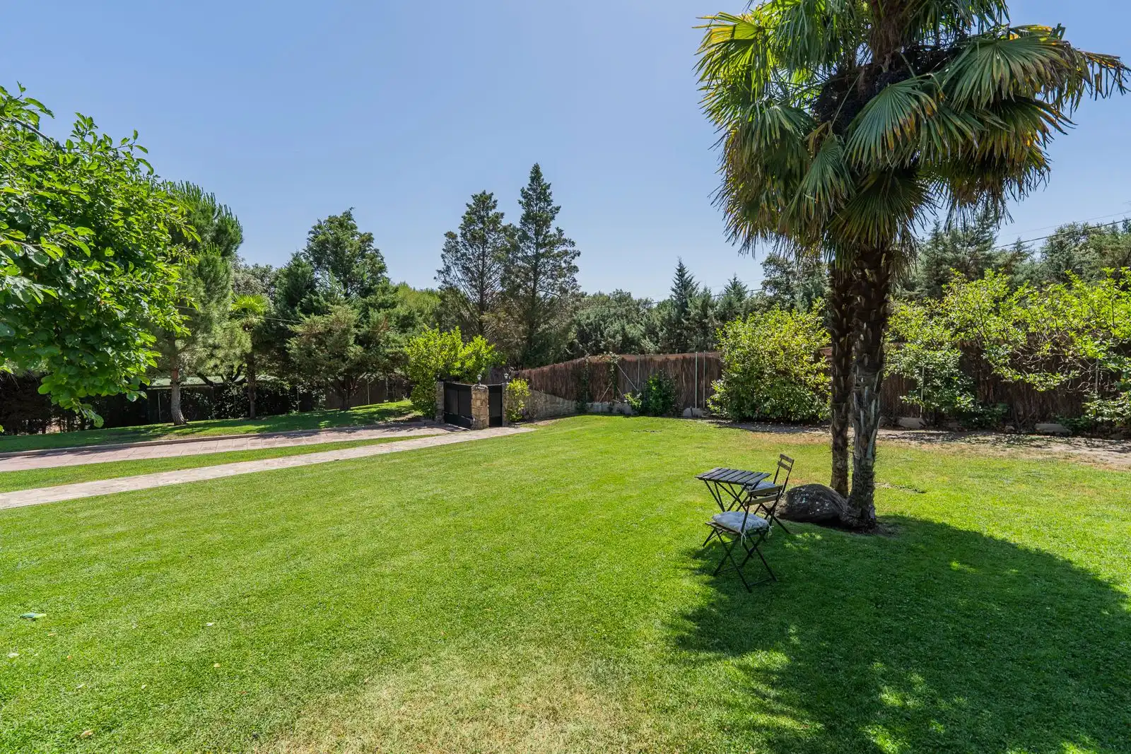 Jardín de Casa o chalet en venta en San Agustín del Guadalix con Aire acondicionado, Calefacción y Jardín privado