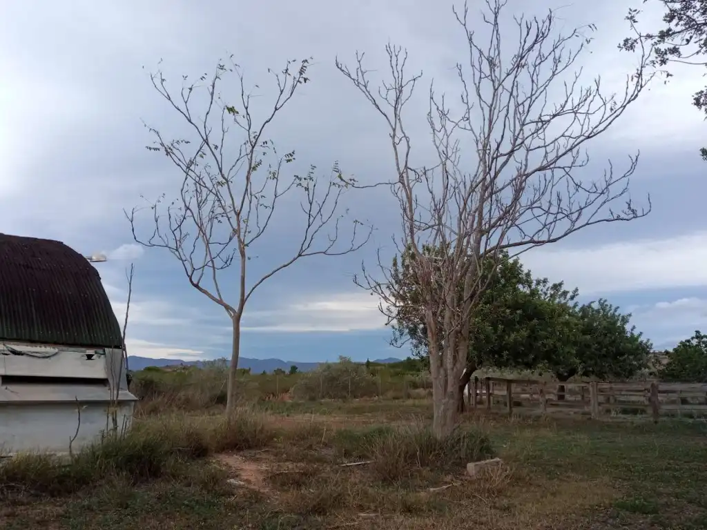 Residencial en venta en Llíria, Santa Bárbara
